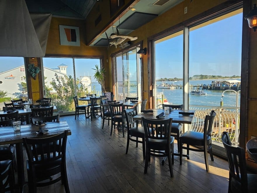 shark on the harbor view ocean city md